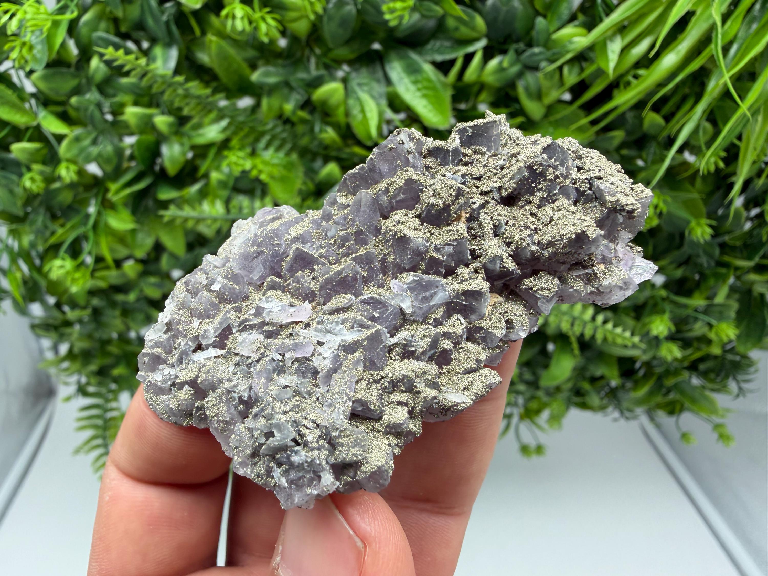 Amethyst Phantom Cluster, Chala Mine Bulgaria, Rare Crystal Specimen