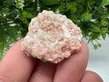 Pink Rhodochrosite Crystal: Starnica Mine, Bulgaria, Home Decor