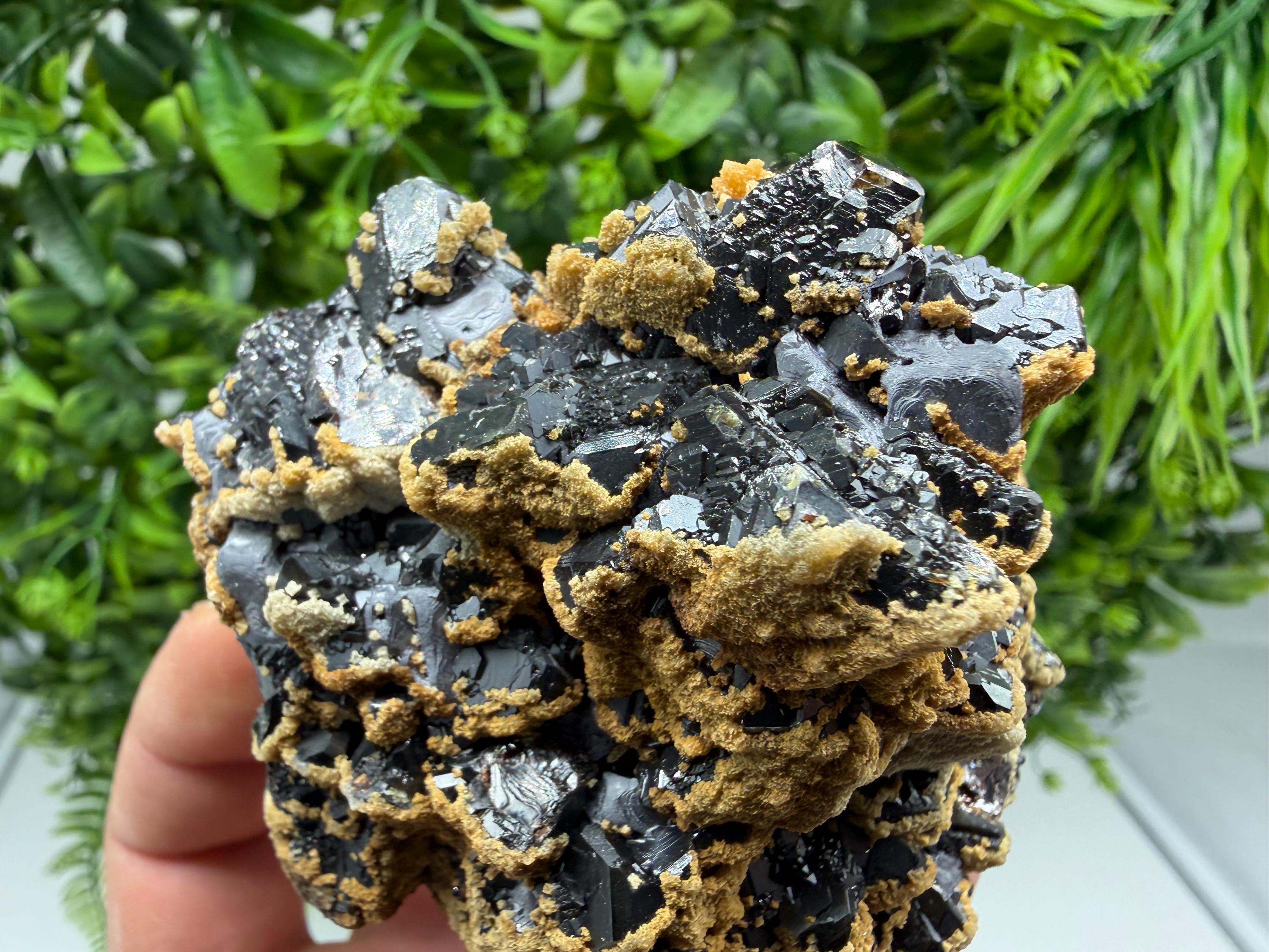 Skeletal Galena with Dolomite: Krushev Dol Mine, Bulgaria