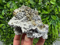 Pyrite Sphalerite Quartz  Mineral Specimen, Krushev dol Mine