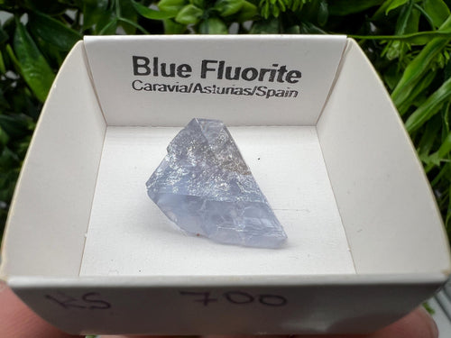 Blue Fluorite from Spain, Mineral Specimen, Blue Fluorite, Fluorite from Spain, Collection, Fluorite Collectors, Crystal Fluorite, collection