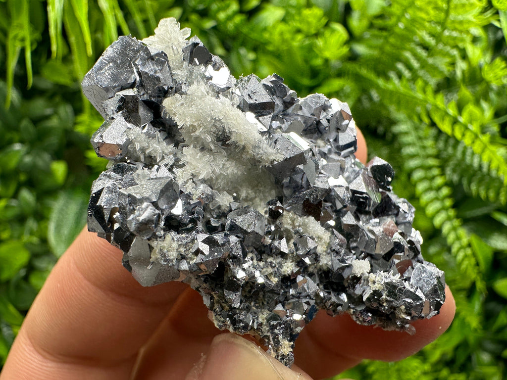 Skeletal Galena on Quartz: Natural Mineral Specimen, Borieva Mine
