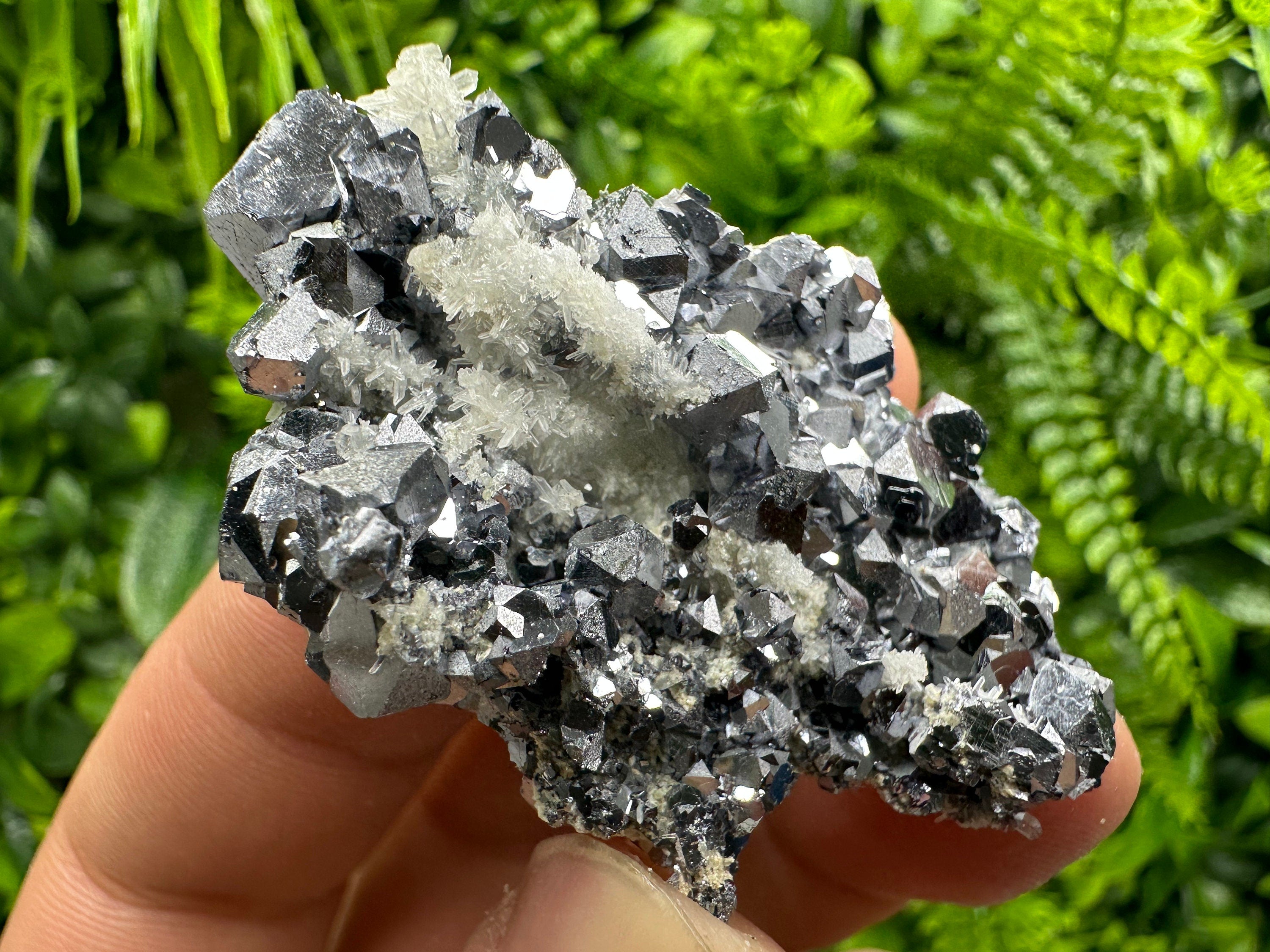 Skeletal Galena on Quartz: Natural Mineral Specimen, Borieva Mine