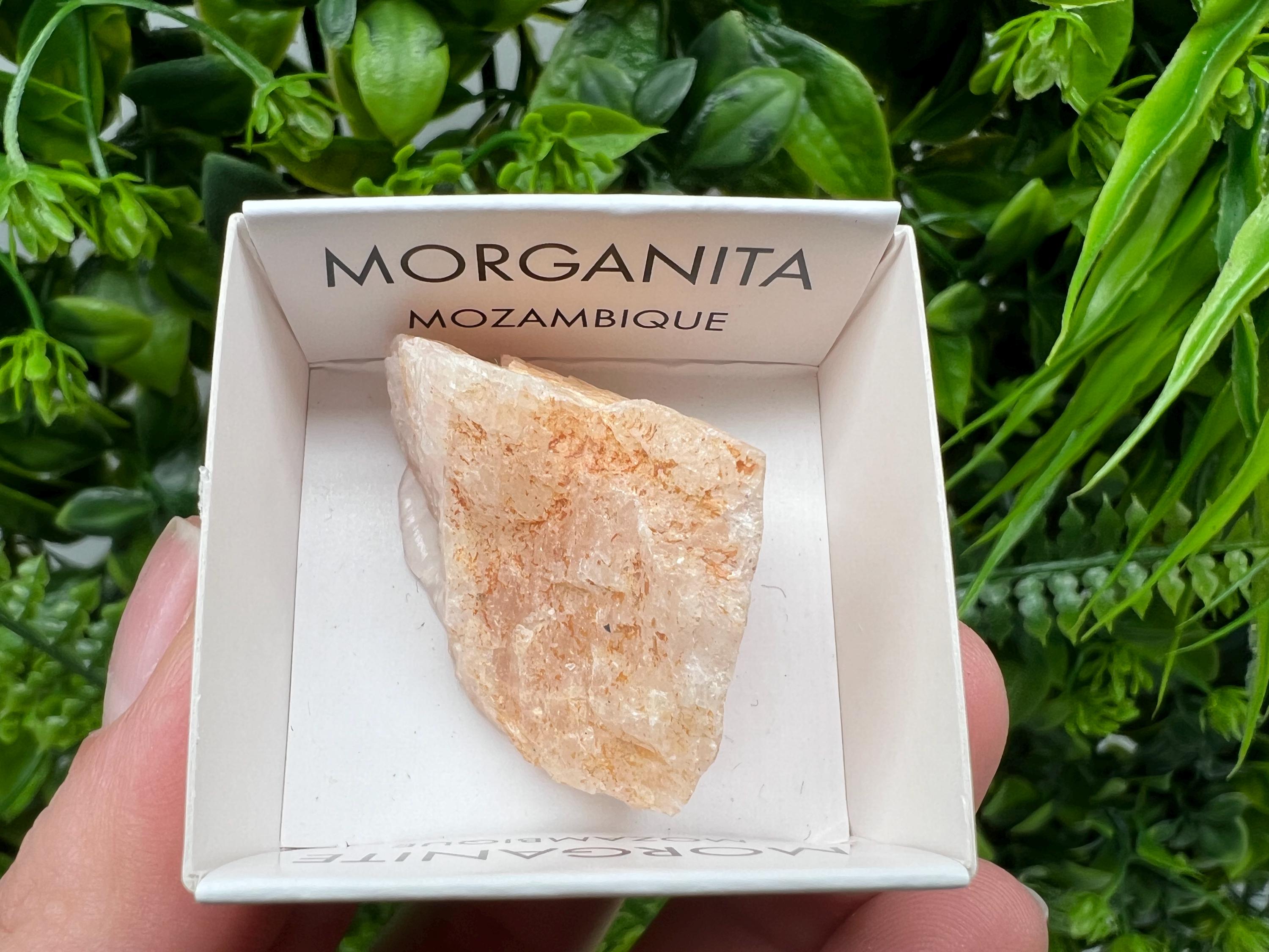 Rare Raw Morganite Specimen: Mozambique Crystal Collection (3/3.5cm)