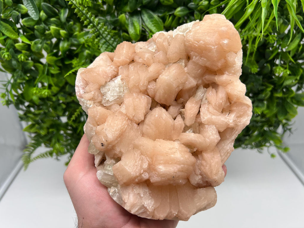 Apophyllite Stilbite on Chalcedony, India Crystal Specimen