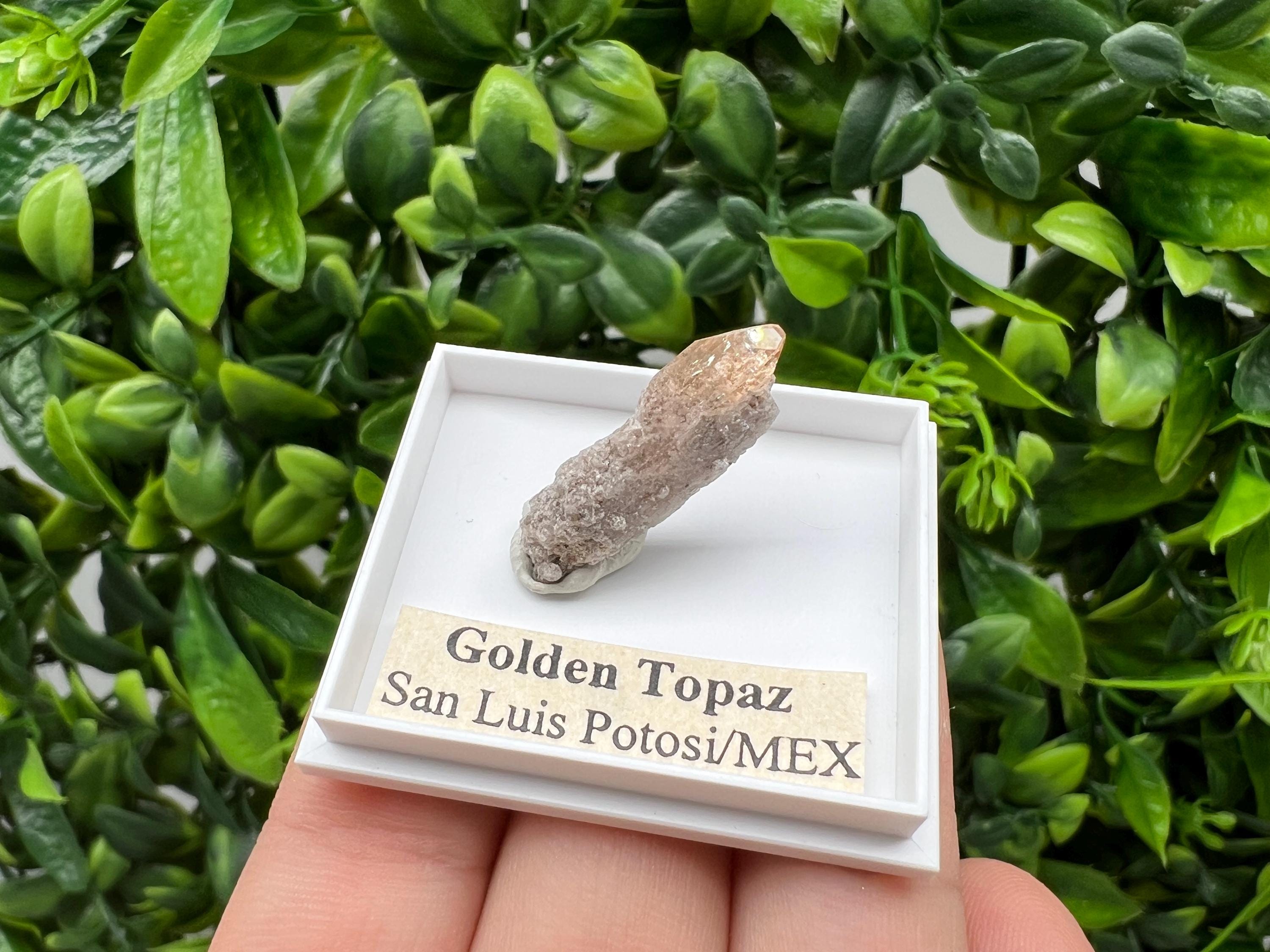 Beautiful Golden Topaz from Mexico,collection piece Crystal,Mineral,collectibles,Collectors, Natural Crystal, Minerals from Mexico,original,