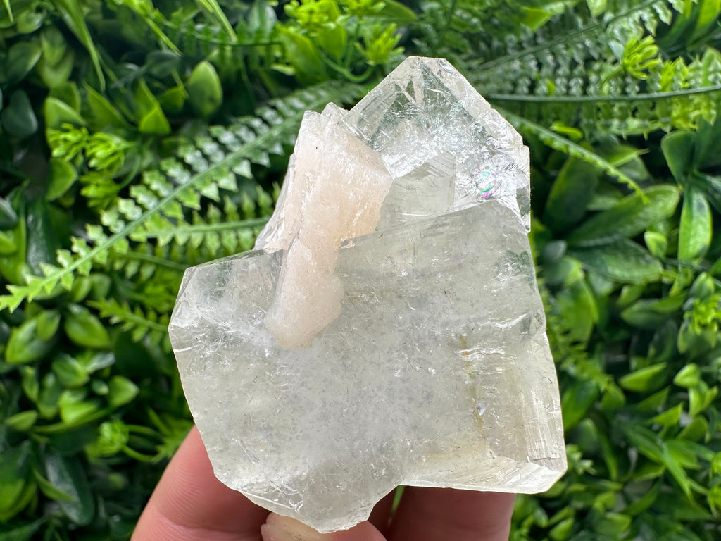 Apophyllite with Stilbite, India Mineral Specimen, Rare Crystal