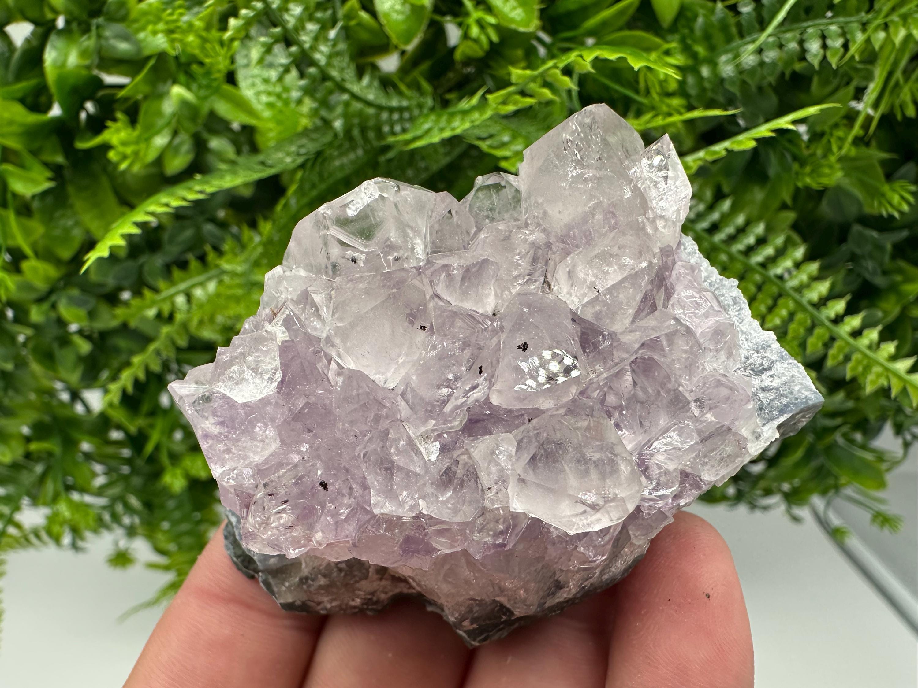 Brazilian Amethyst Cluster, Purple Quartz Crystal Specimen