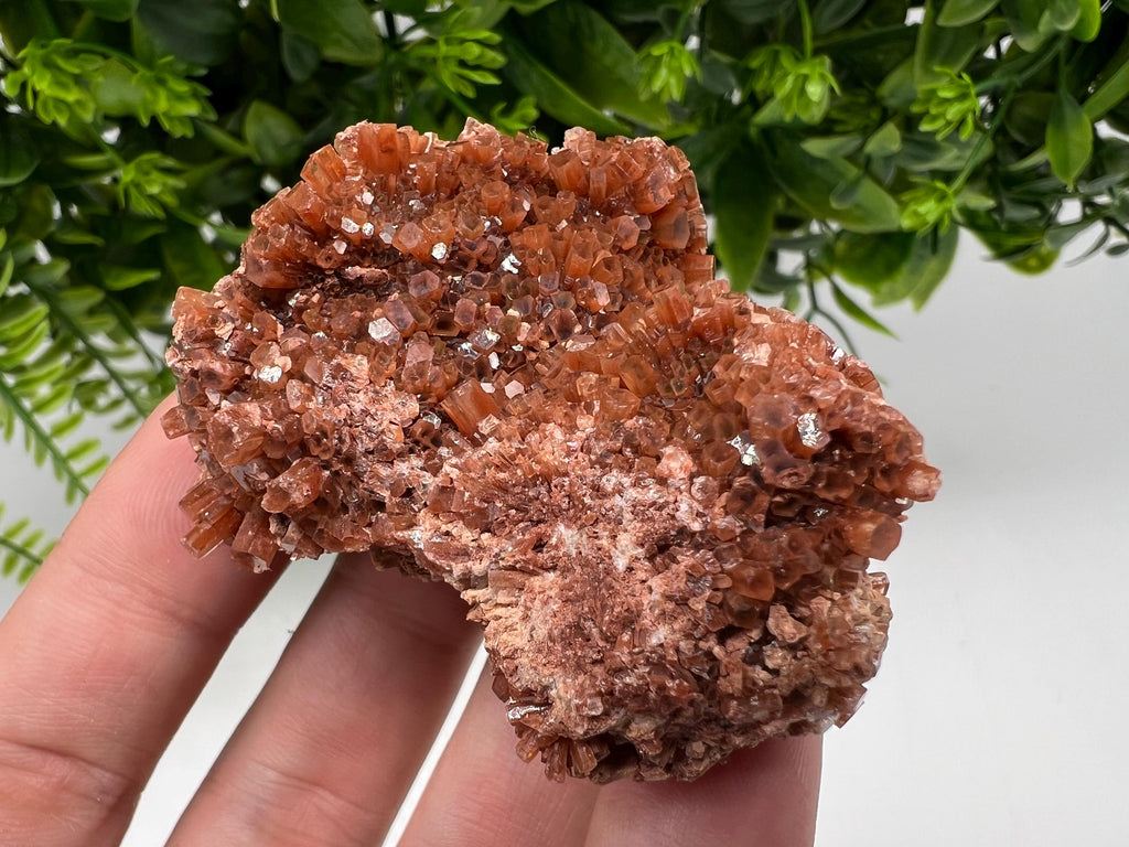 Large Aragonite Sputnik Cluster: Raw Moroccan Crystal Stone, Home Decor
