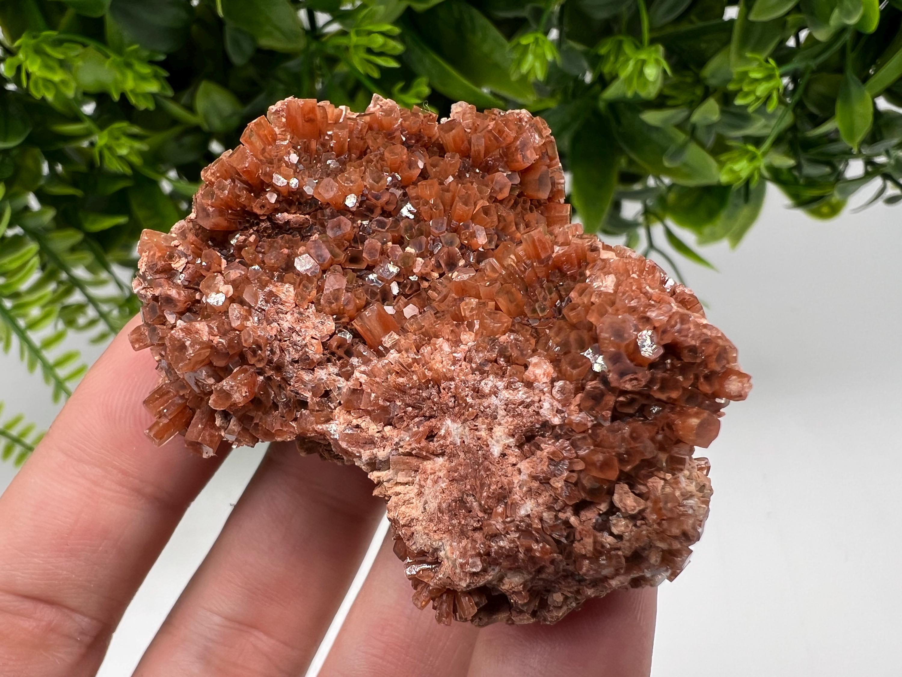 Large Aragonite Sputnik Cluster: Raw Moroccan Crystal Stone, Home Decor