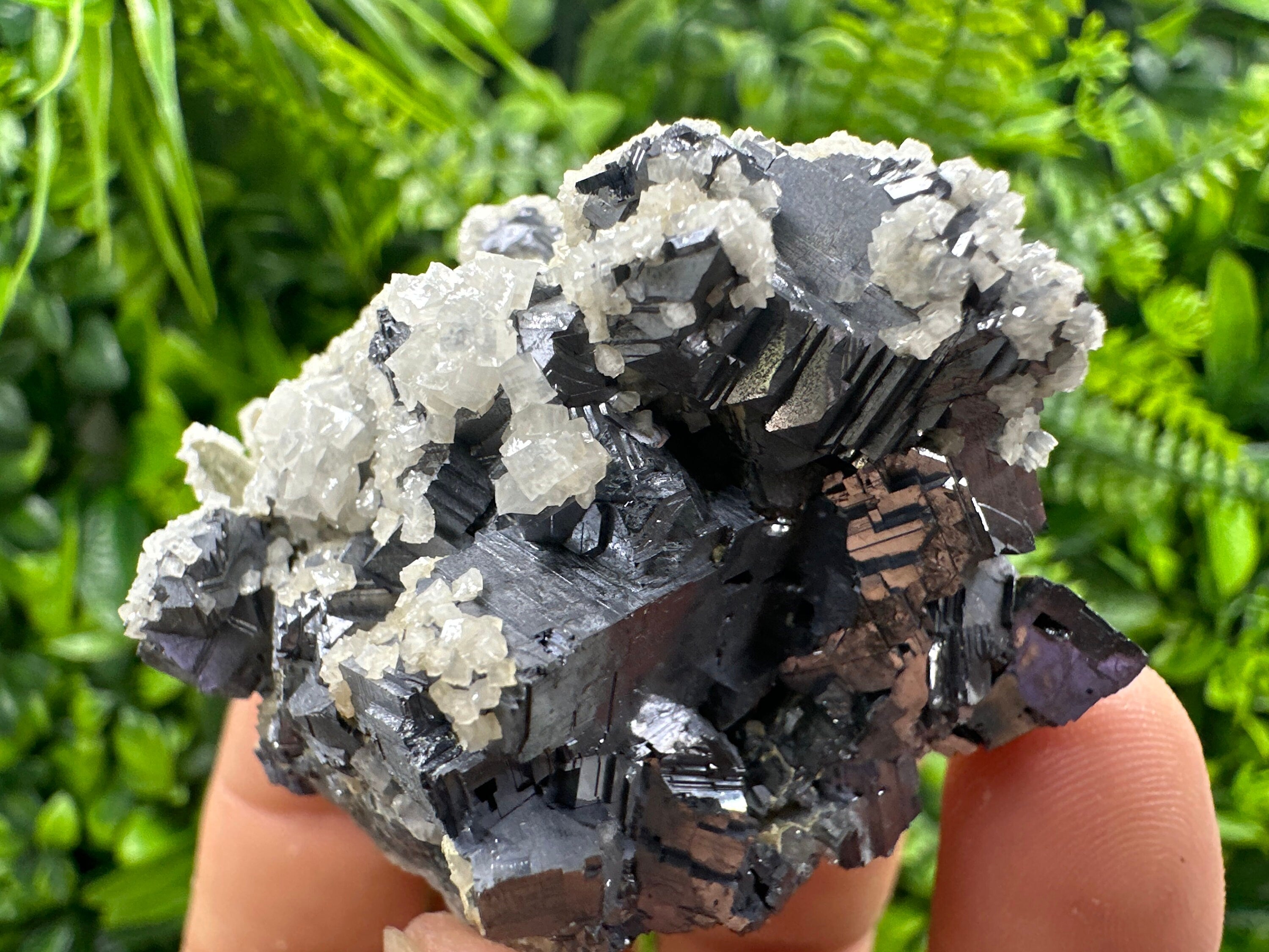 Rare Calcite on Galena: Borieva Mine, Madan, Bulgaria