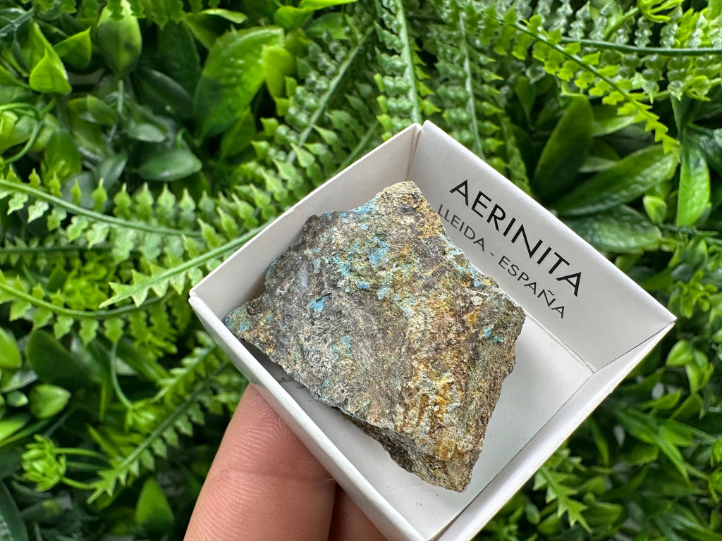 Rare Raw Aerinite Mineral Specimen, Lleida Spain Crystal