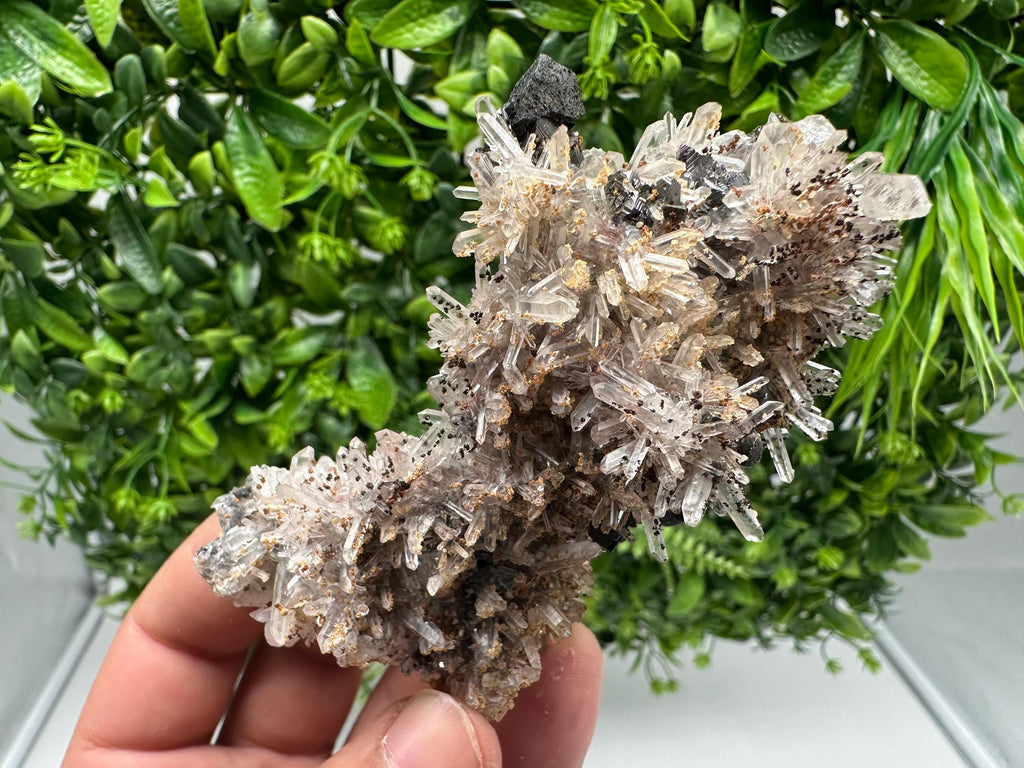 Wonderful Sphalerite Chalcopyrite on  Quartz whit Hematite feom 9 th September mine,Bulgaria,natural,collection mineral specimen,gift