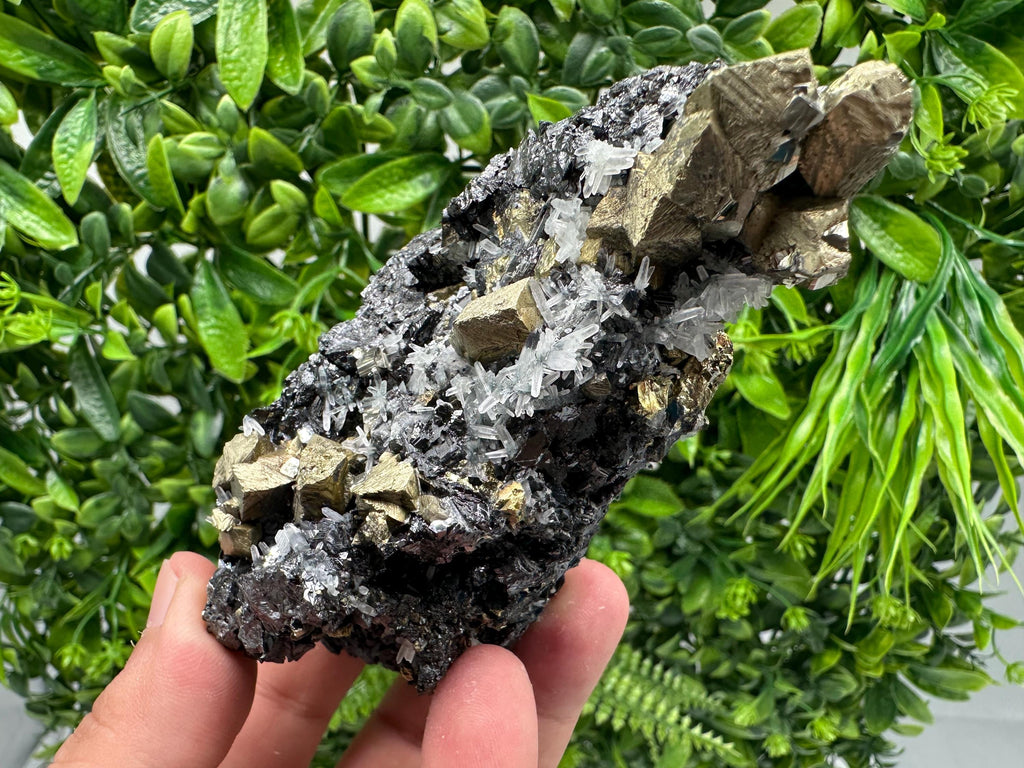Chalcopyrite with Sphalerite on Quartz, Borieva Bulgaria