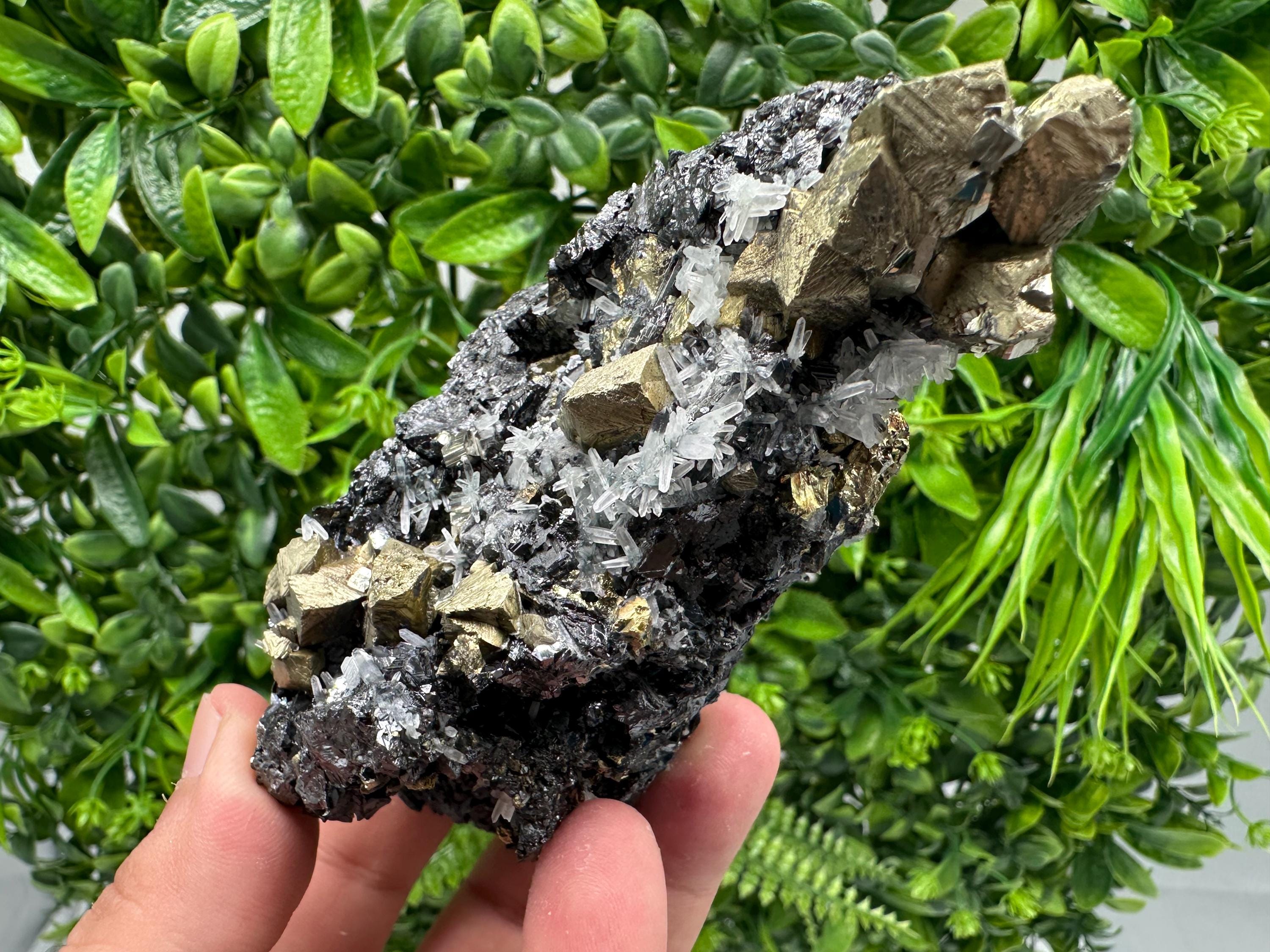 Chalcopyrite with Sphalerite on Quartz, Borieva Bulgaria