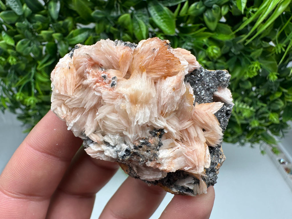 Wonderful Baryte with Cerussite on Galena from Morocco,Crystal, Mineral,Specimen,Cluster,Crystals,Barite Crystal,Cerussite Crystal,Specimen