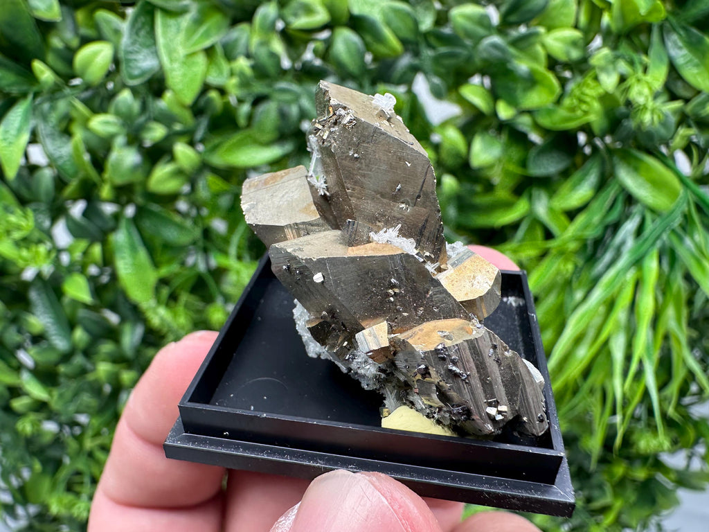 Rare Crystalline Pyrite Cluster - Borieva Mine, Bulgaria