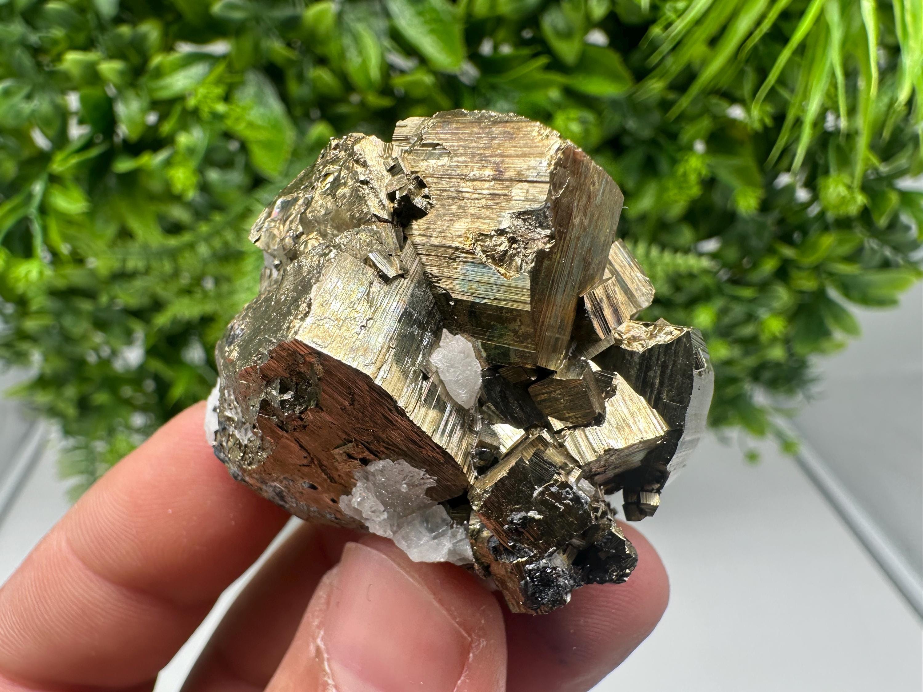 Rare Crystallization Pyrite, Borieva Mine, Bulgaria, Rainbow Golden Pyrite