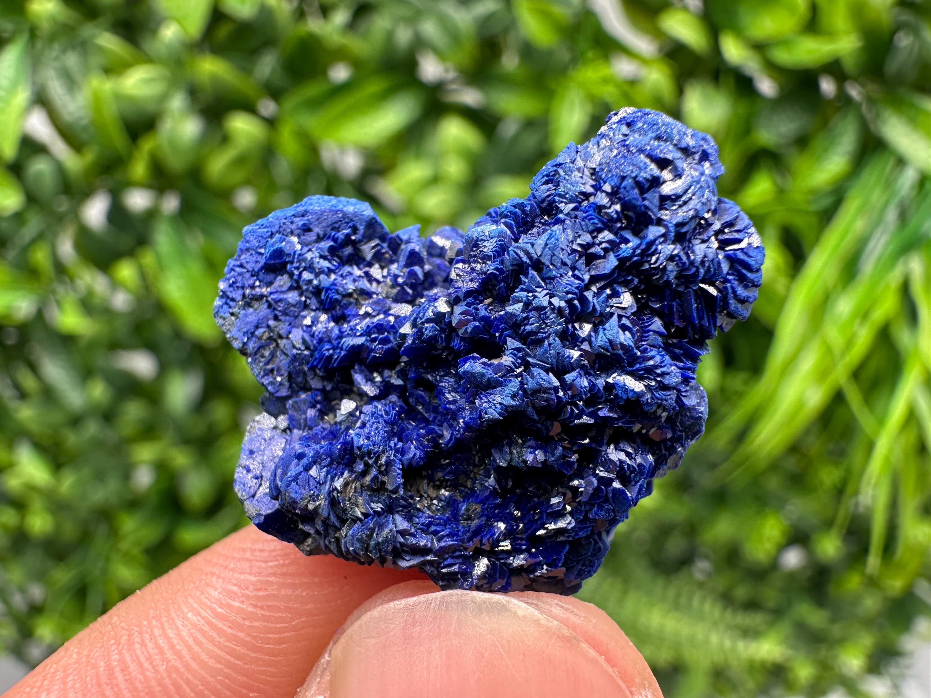 Crystallized Azurite-Kerrouchen,Morocco-Blue Azurite Specimen-High Quality Blue Azurite-Azurite Mineral Specimen, gemmy,lustrous of Azurite