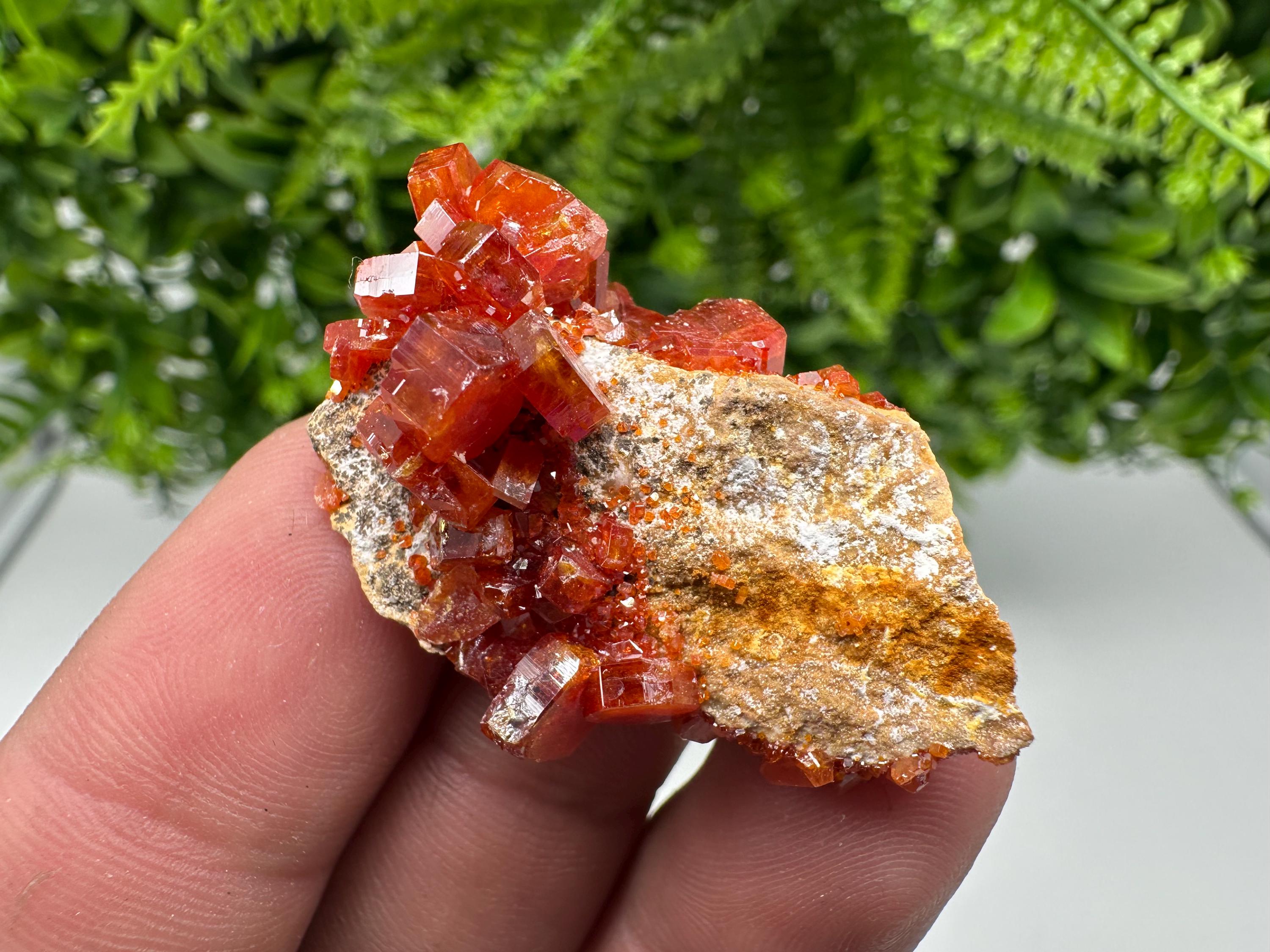 Red Vanadinite on Barite from Marocco,crystal minerals Speciment cluster Vanadinite crystal Vanadinite Geology Vanadinite cluster minerals