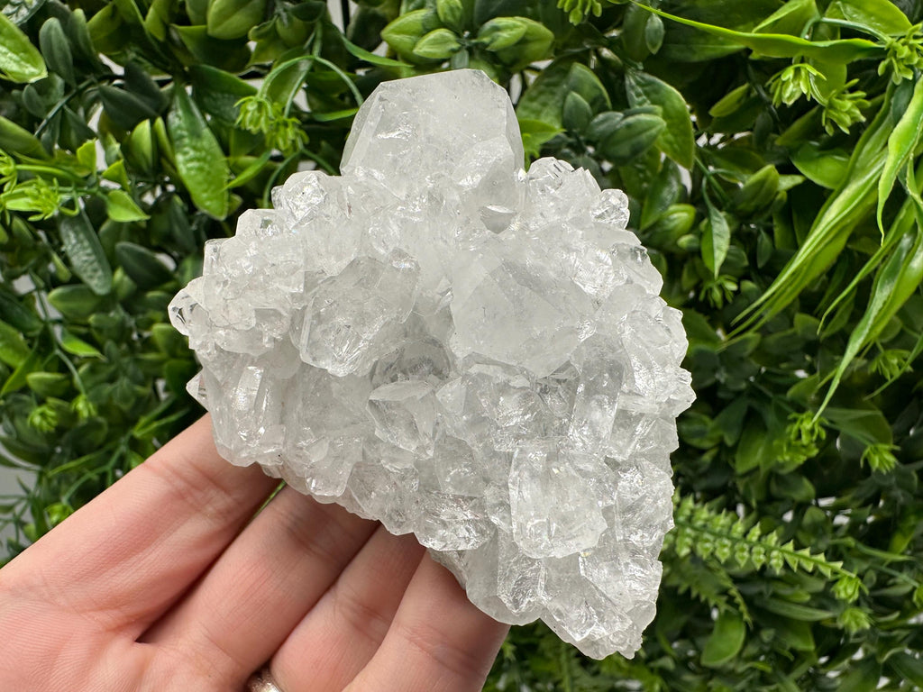 Apophyllite on Chalcedony Specimen: India Minerals Collection