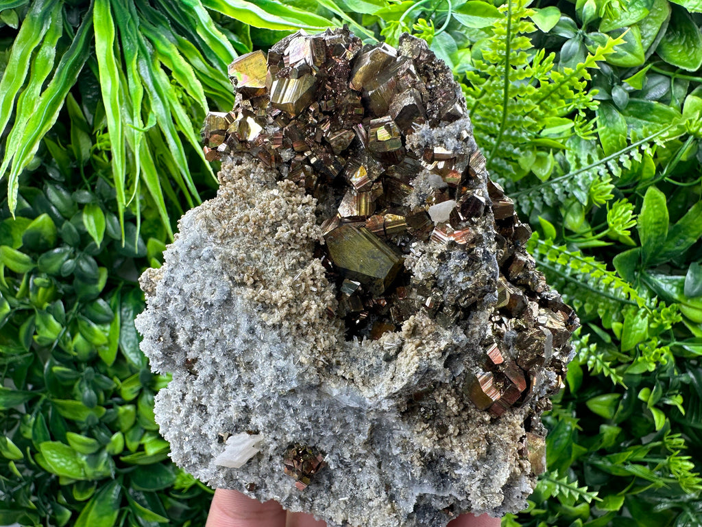 Pyrite on Quartz and Calcite: Natural Mineral Collection, Borieva Bulgaria