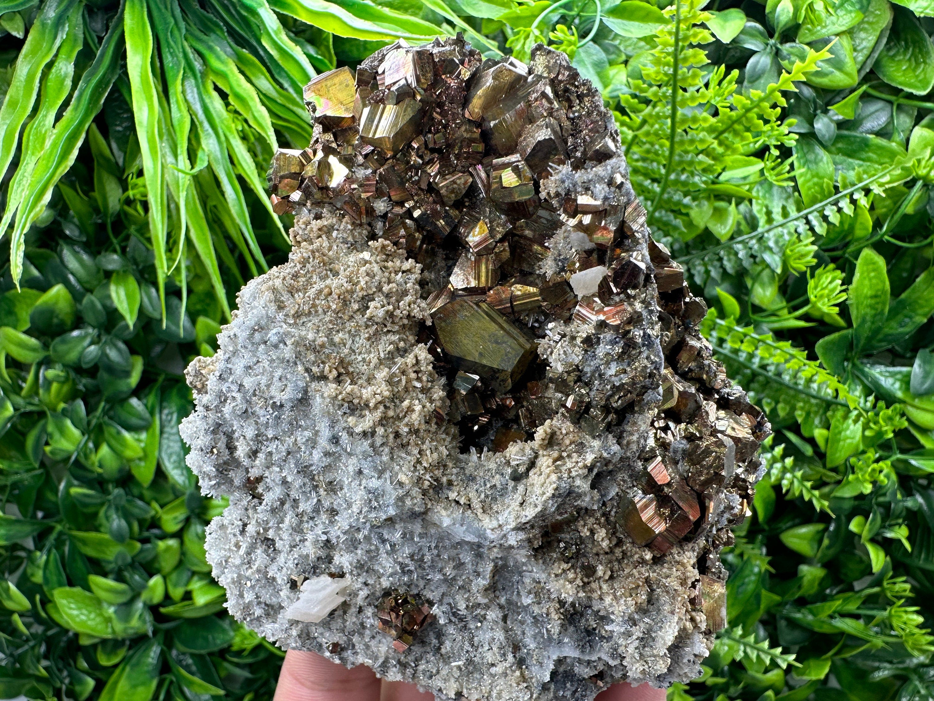 Pyrite on Quartz and Calcite: Natural Mineral Collection, Borieva Bulgaria