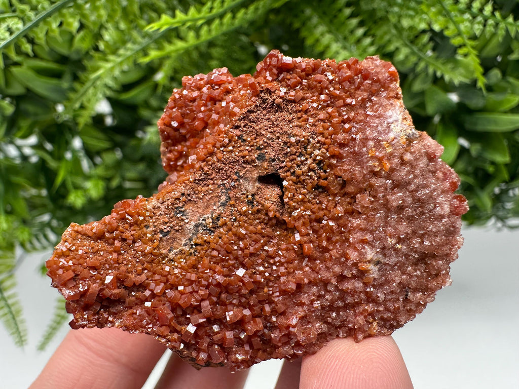 Red Vanadinite on Matrix from Marocco,crystal minerals Speciment cluster Vanadinite crystal Vanadinite Geology Vanadinite cluster minerals