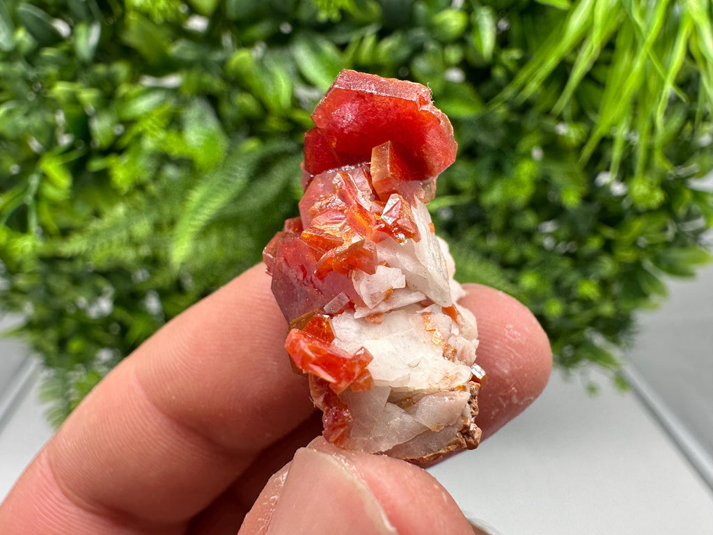 Red Vanadinite on Barite from Marocco,crystal minerals Speciment cluster Vanadinite crystal Vanadinite Geology Vanadinite cluster minerals