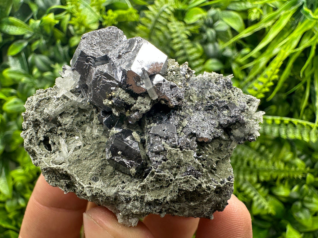 Galena on Quartz and Chlorite: Natural Minerals from Borieva Bulgaria