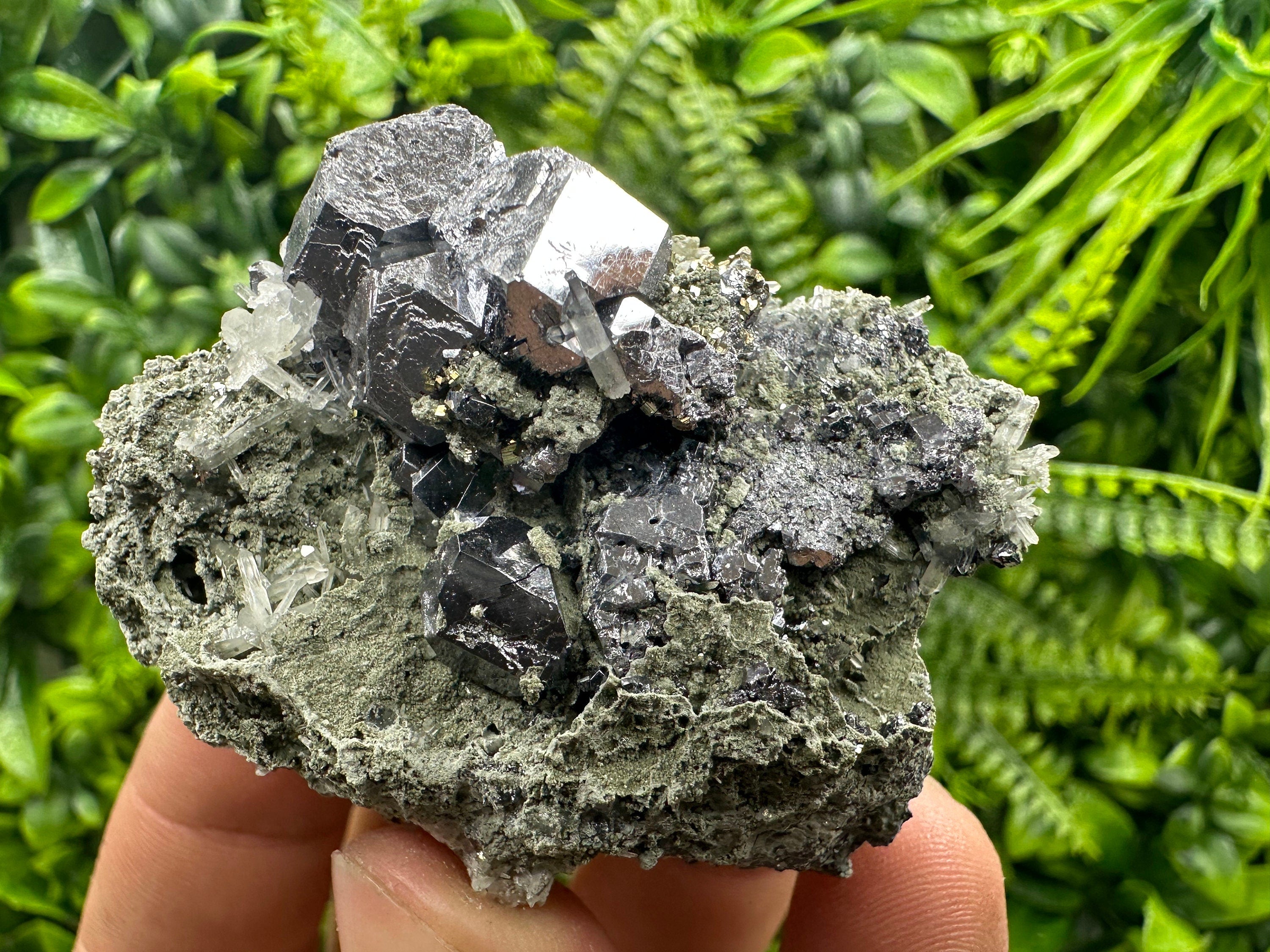Galena on Quartz and Chlorite: Natural Minerals from Borieva Bulgaria