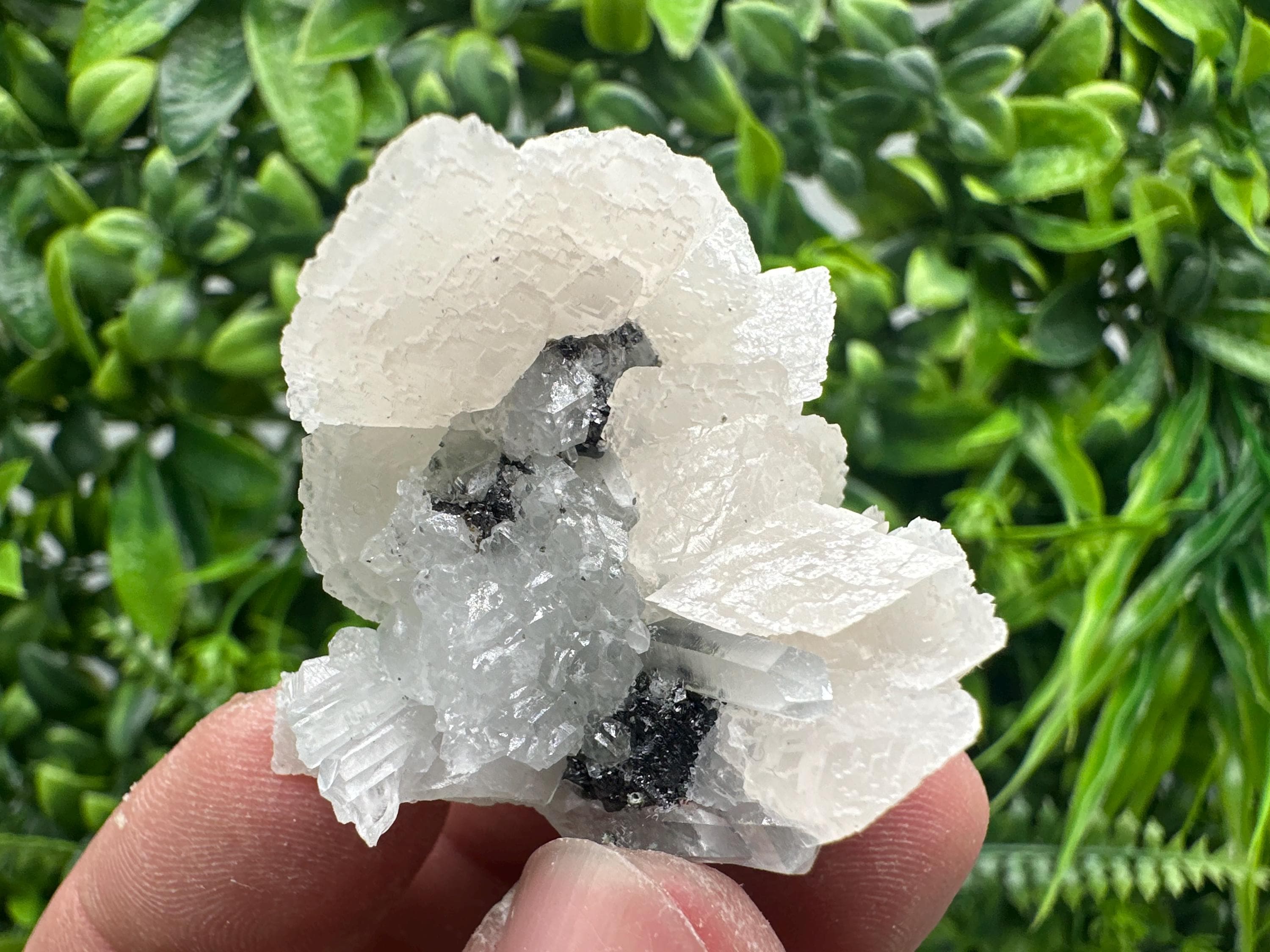 Calcite on Quartz with Sphalerite, Borieva Mine Mineral Specimen