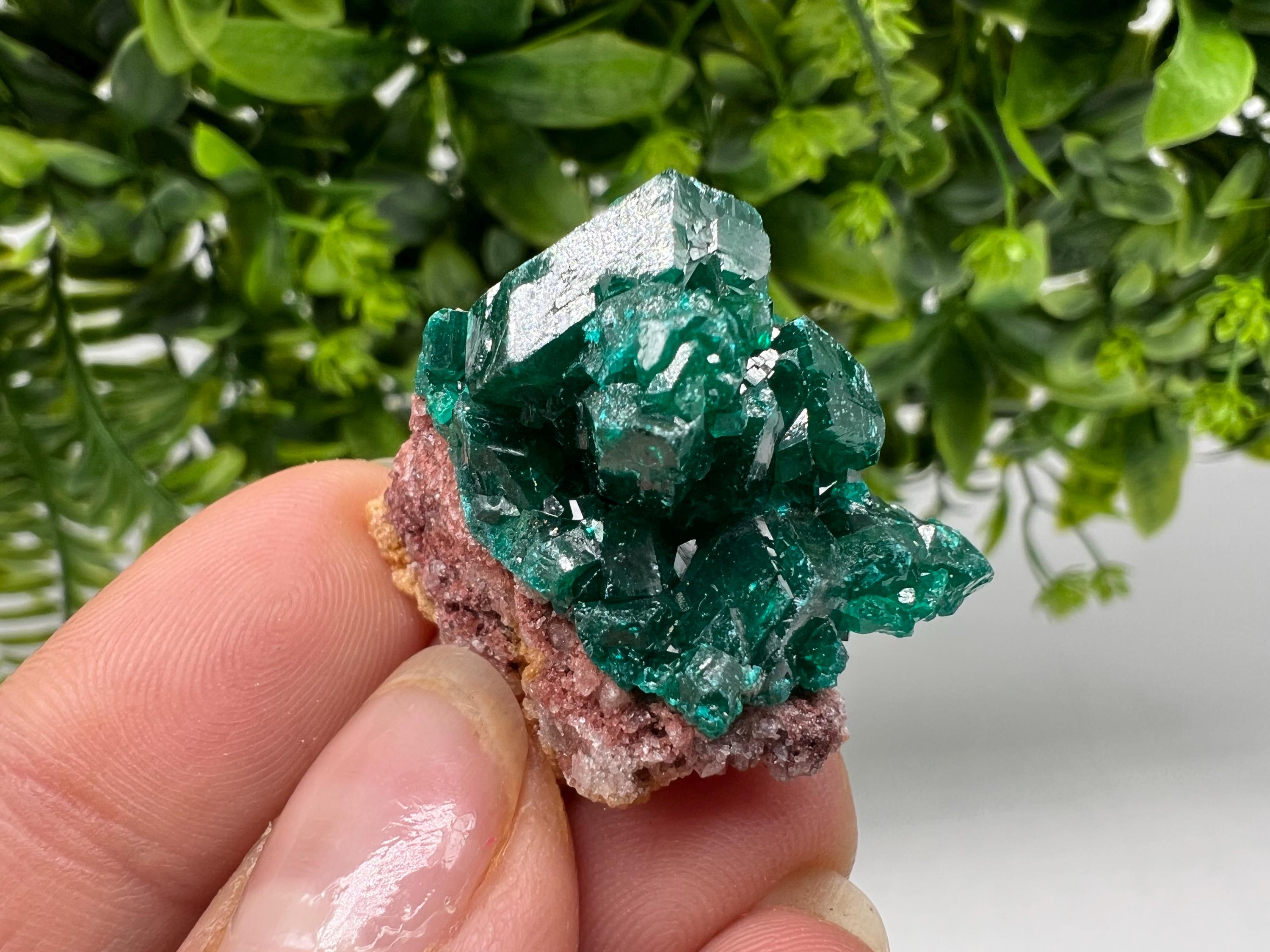 Green Dioptase Crystal, Mindouli Congo