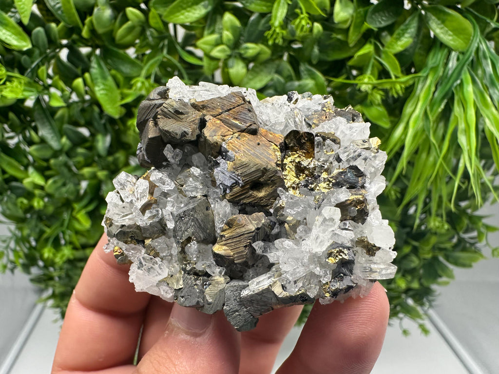 Chalcopyrite on Quartz, Chlorite Mineral Specimen, Djurcovo Mine, Bulgaria