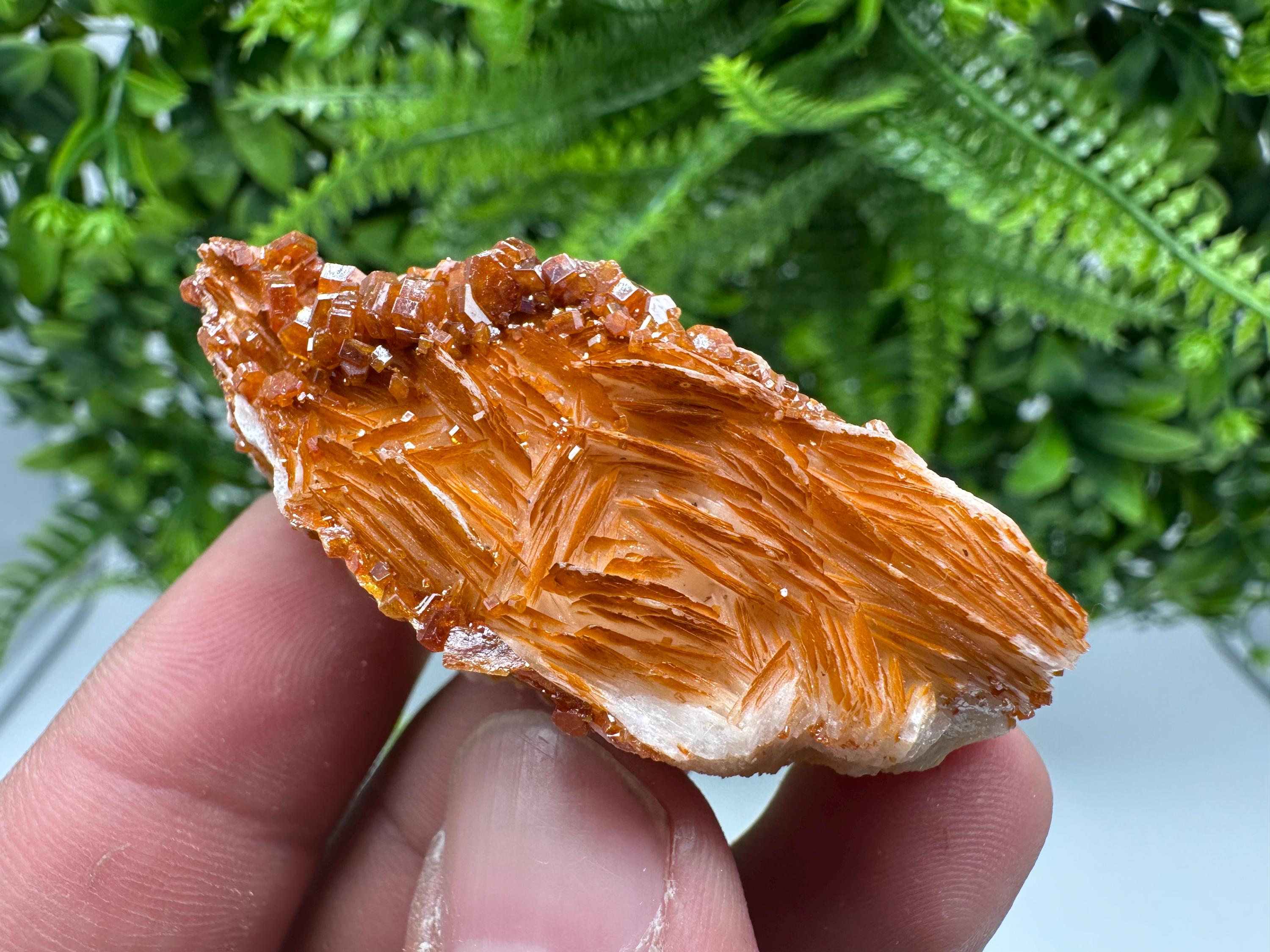 Red Vanadinite on Barite, Morocco Crystal Cluster