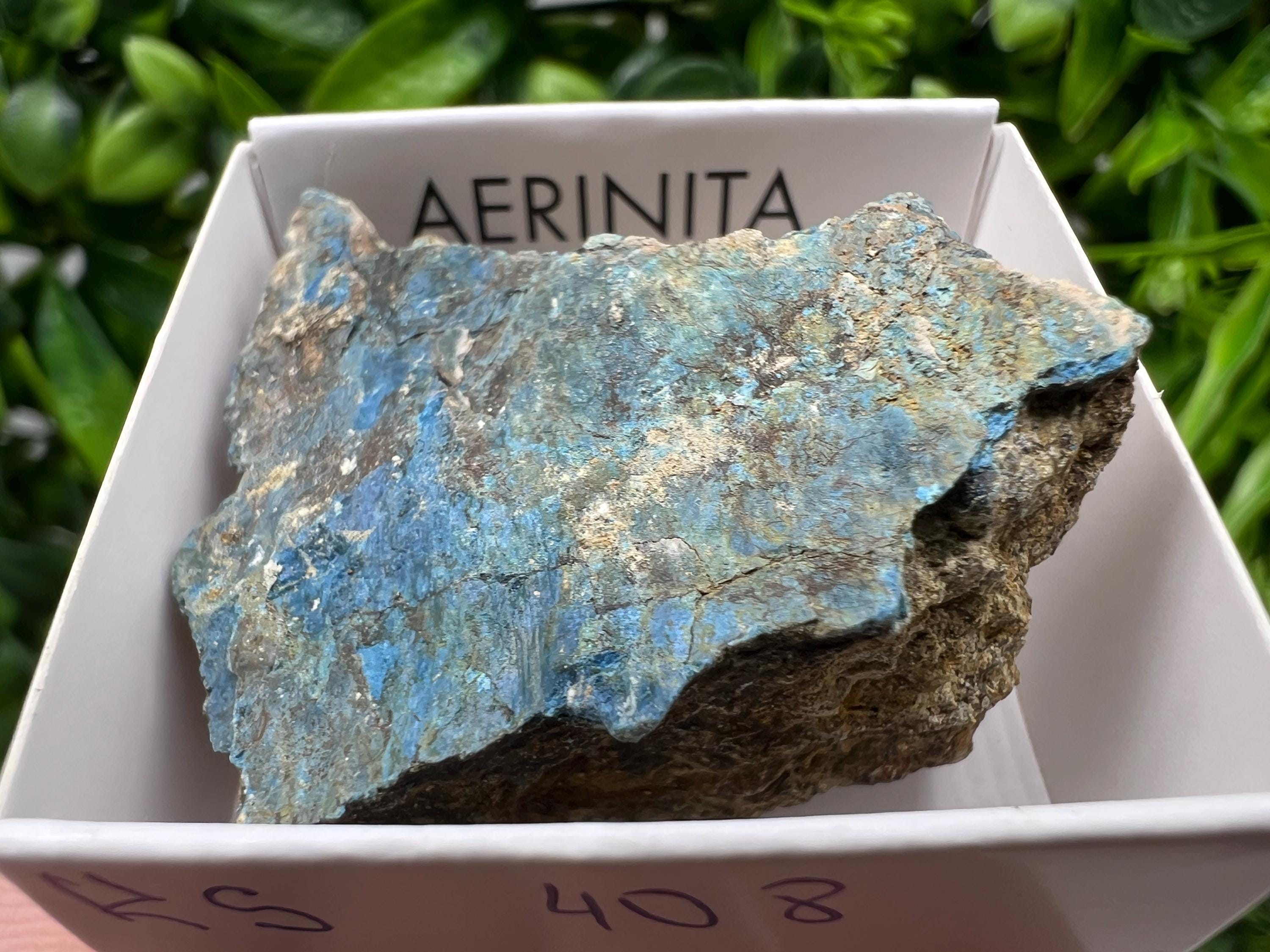 Rare Raw Aerinite Mineral Specimen: Lleida Spain Crystal Collection