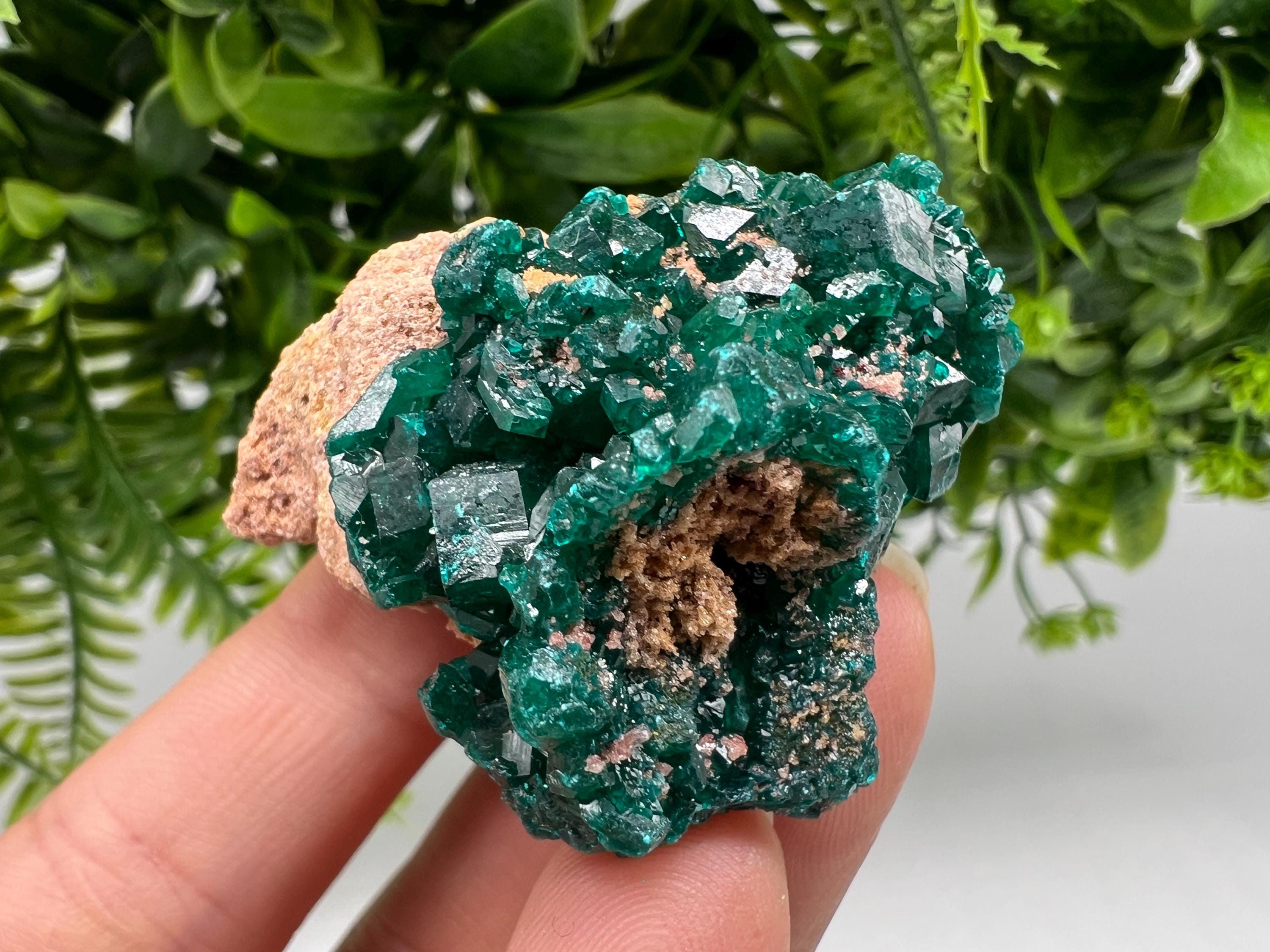Stunning Green Dioptase from Sanda Hills,Mindouli,Pool Department,Mindouli District,Congo,green Dioptase,Dioptas Crystal,Dioptase collecting