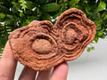 Moroccan Stromatolite Fossil Specimen, Raw Algae Fossil for Meditation