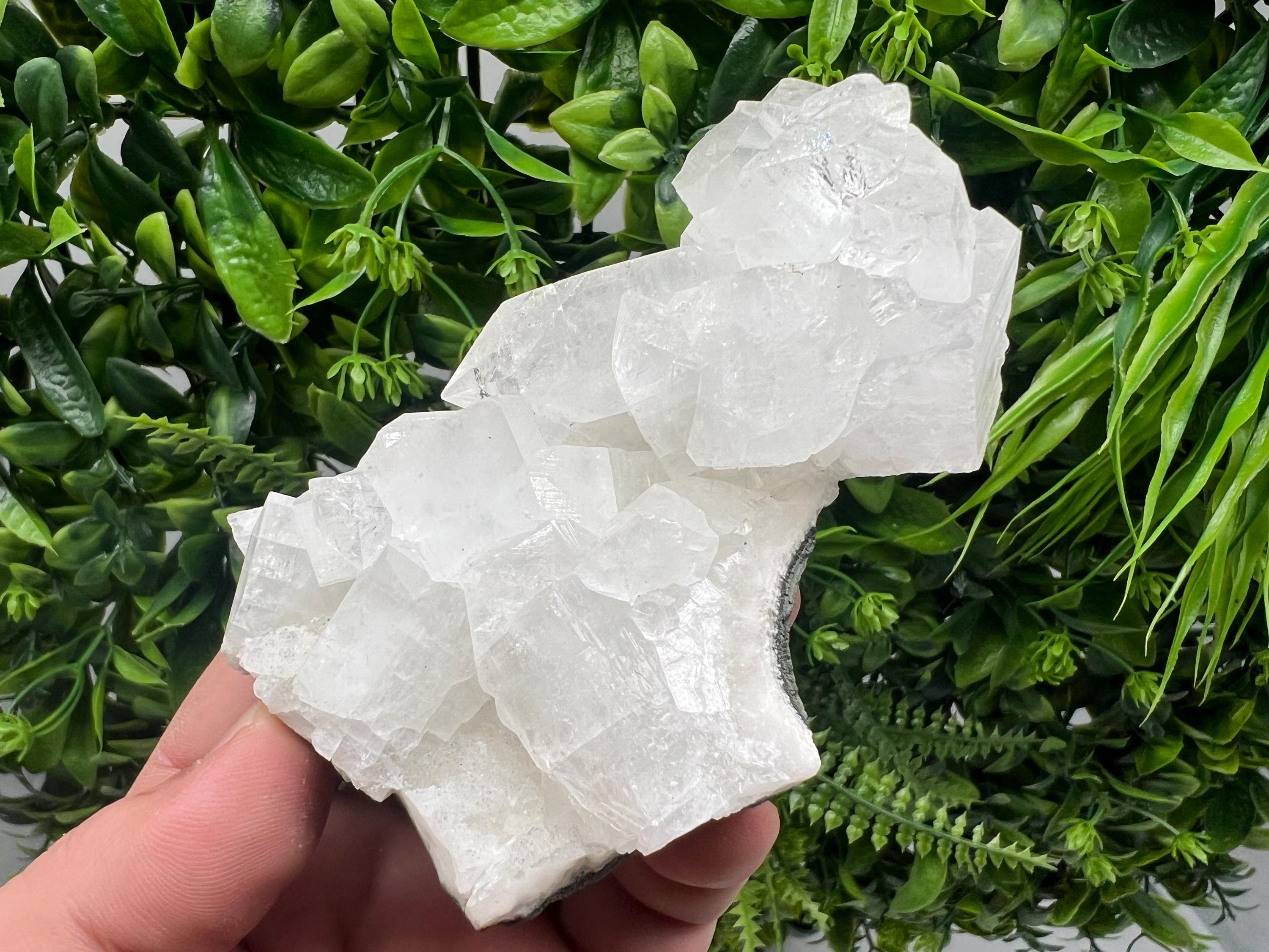 Apophyllite on Chalcedony Specimen: Transparent Crystal, India Minerals