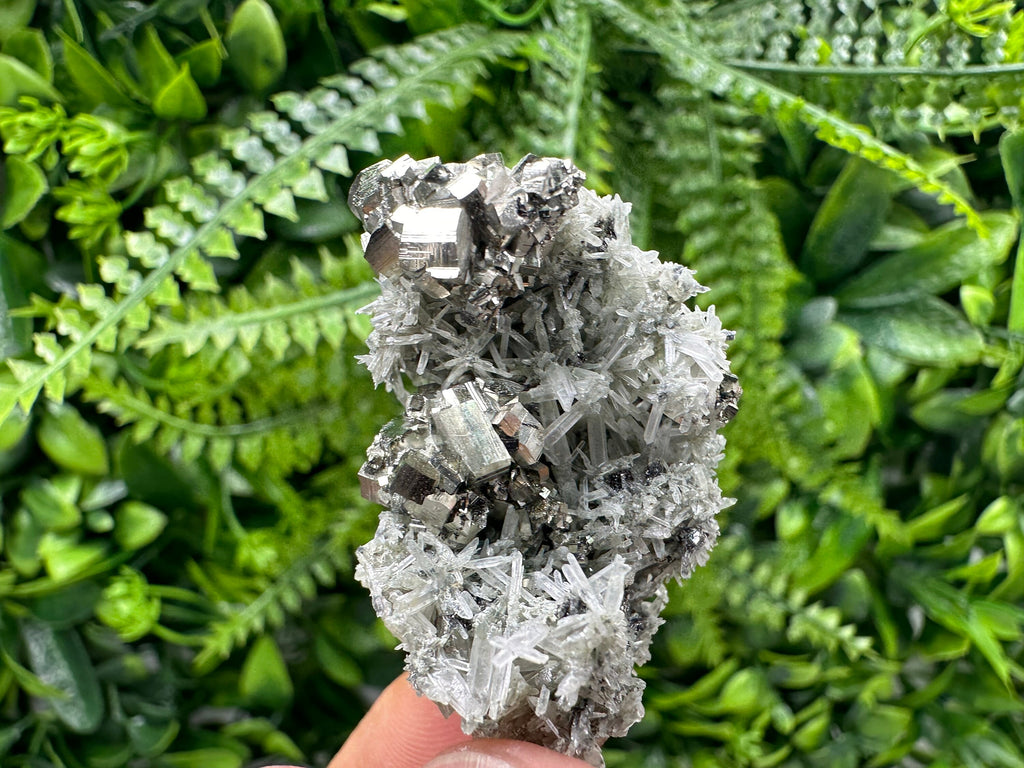 Pyrite on Green Quartz, Borieva Mine Mineral Specimen