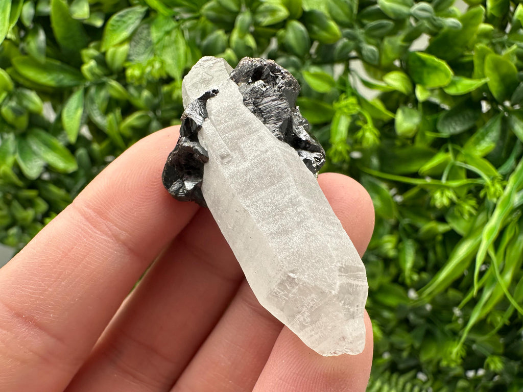 Wonderful Sphalerite Chalcopyrite on  Quartz whit Galena feom 9 th September mine,Bulgaria,natural,collection mineral specimen,gift
