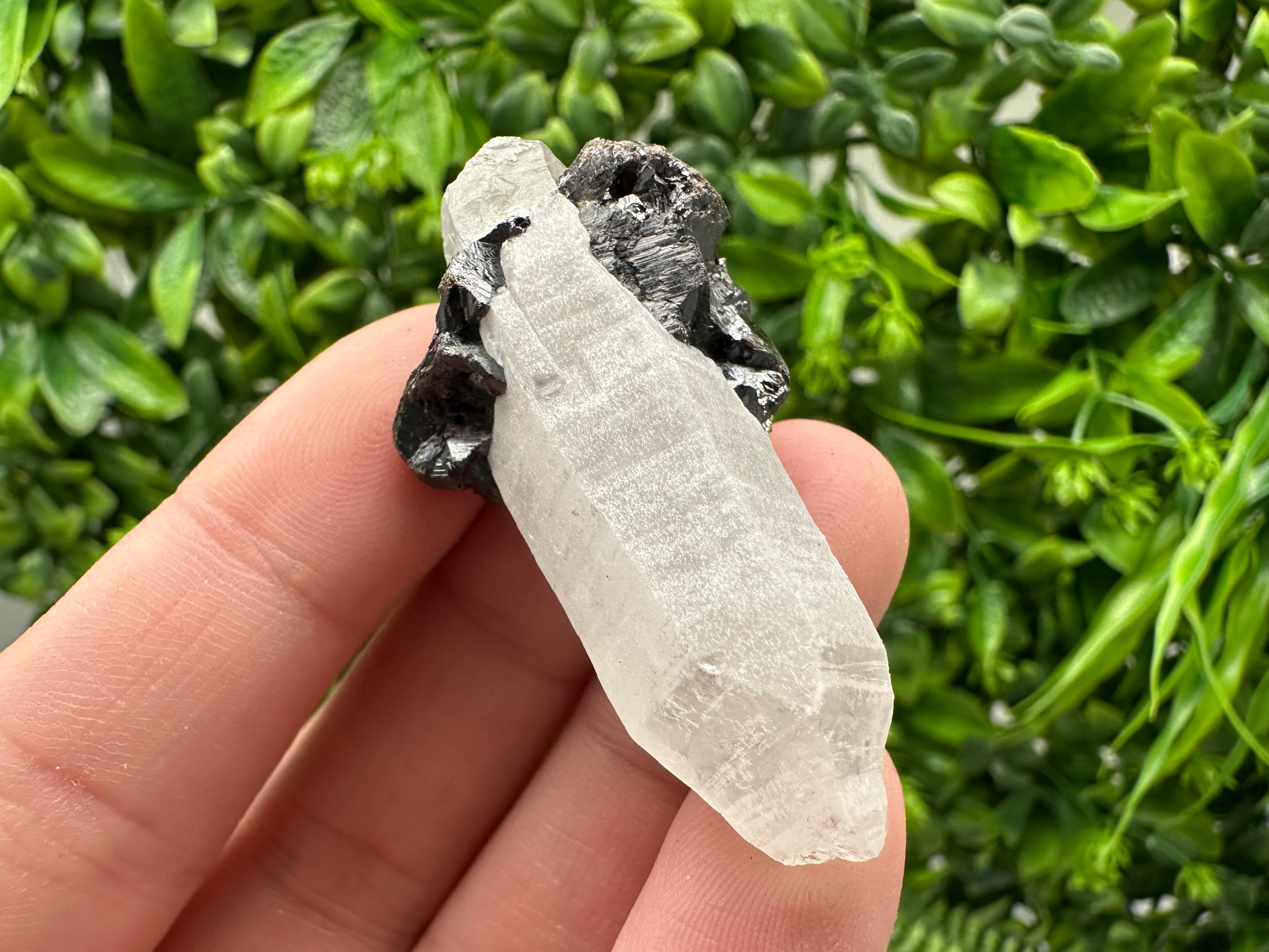 Wonderful Sphalerite Chalcopyrite on  Quartz whit Galena feom 9 th September mine,Bulgaria,natural,collection mineral specimen,gift