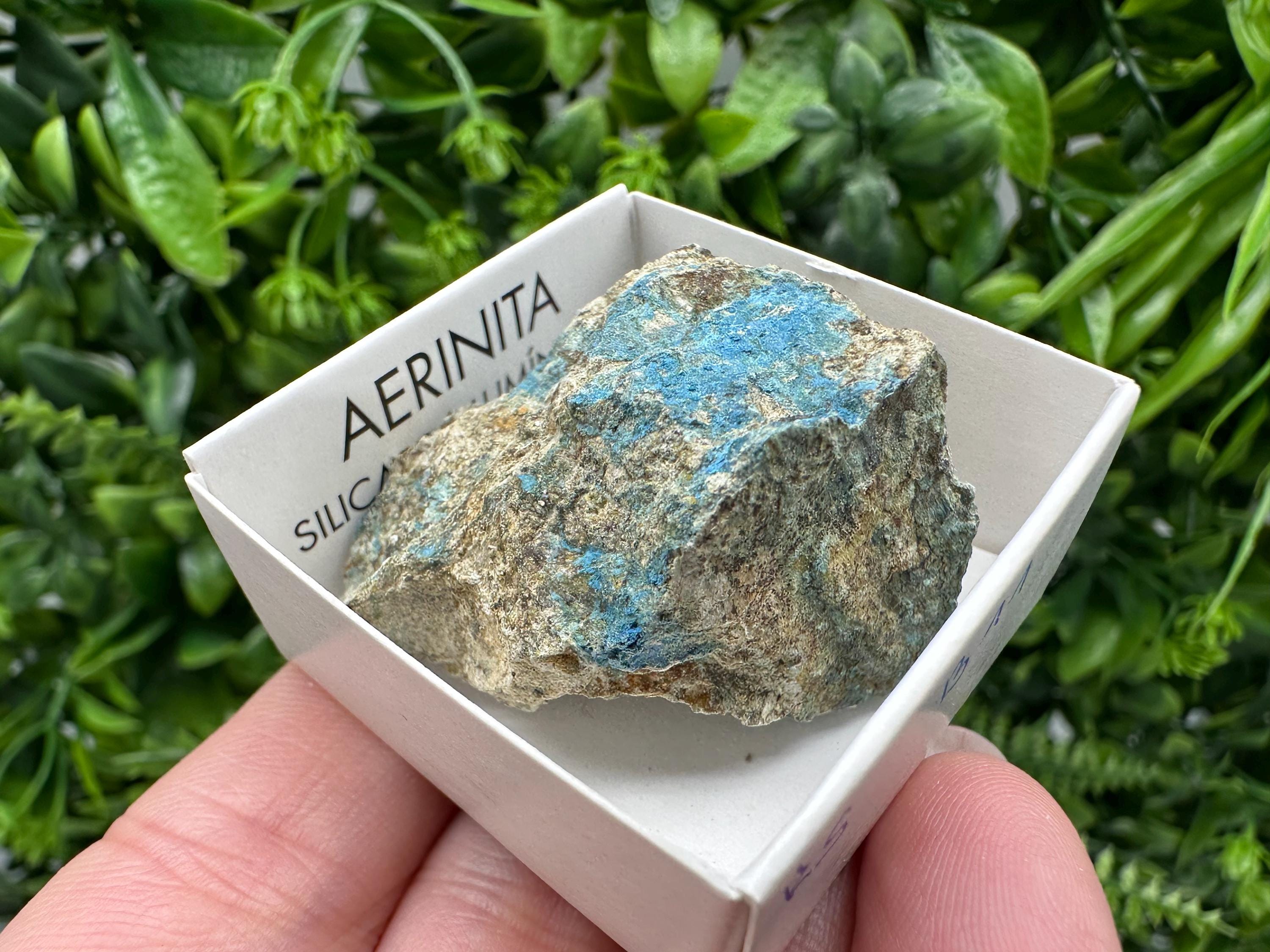 Rare Raw Aerinite Mineral Specimen: Lleida, Spain Crystal