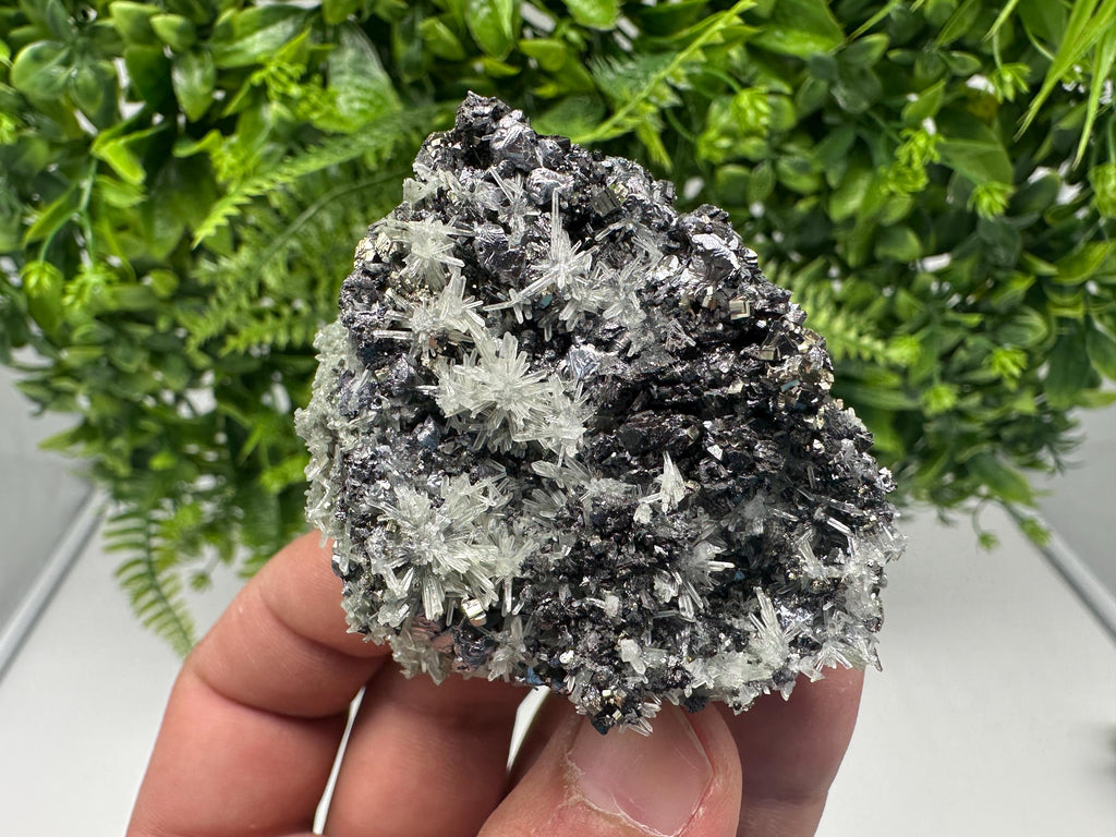 Pyrite on Green Quartz, Rare Mineral Specimen, Bulgaria