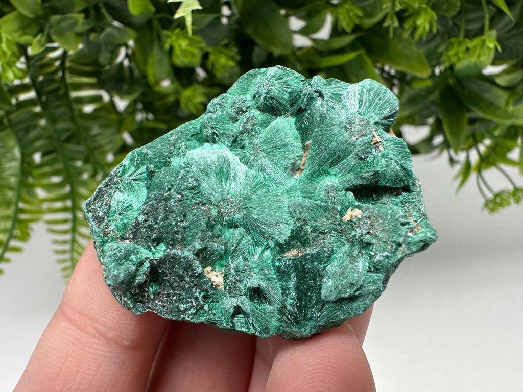 Polished Malachite Crystal from Congo, Green Specimen, Chakra Mineral Stone