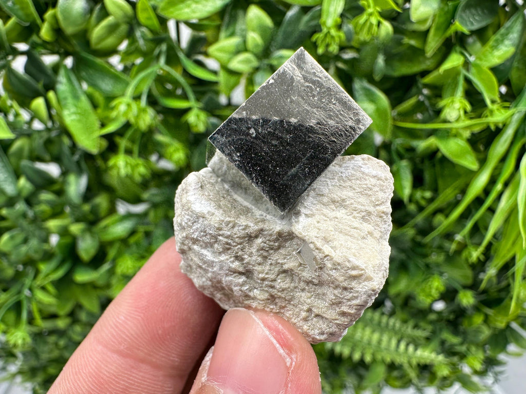 Large Pyrite Cube on Matrix: Shiny Mineral Specimen, La Rioja Spain