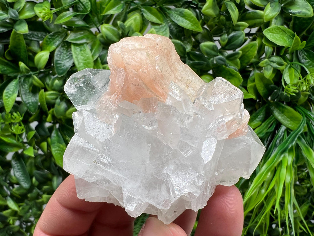 Apophyllite on Chalcedony Specimen: Natural Crystal from India