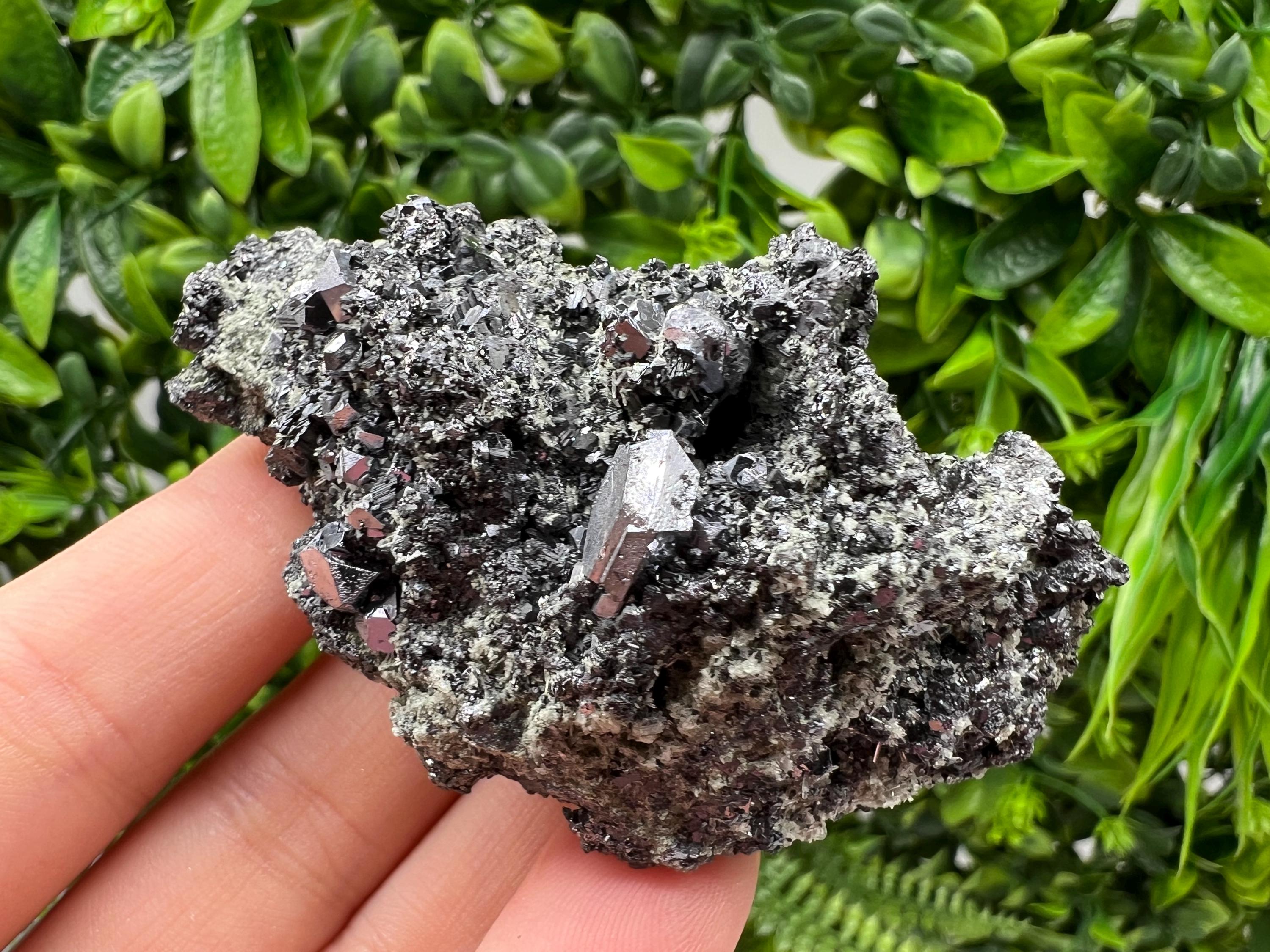 Sphalerite Galena with Chlorite, Borieva Mine Madan Bulgaria