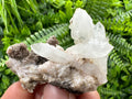 Quartz with Chlorite on Rhodochrosite and Siderite - Natural Crystal Decor