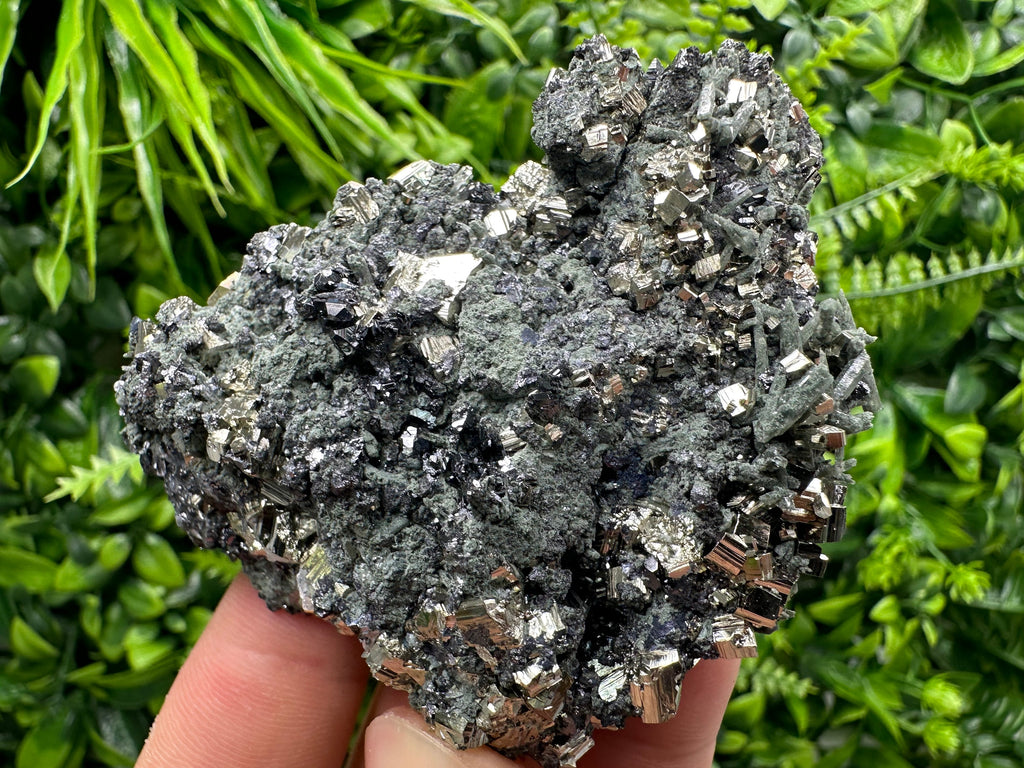 Pyrite Sphalerite on Quartz with Chlorite, Bulgaria Mineral Specimen